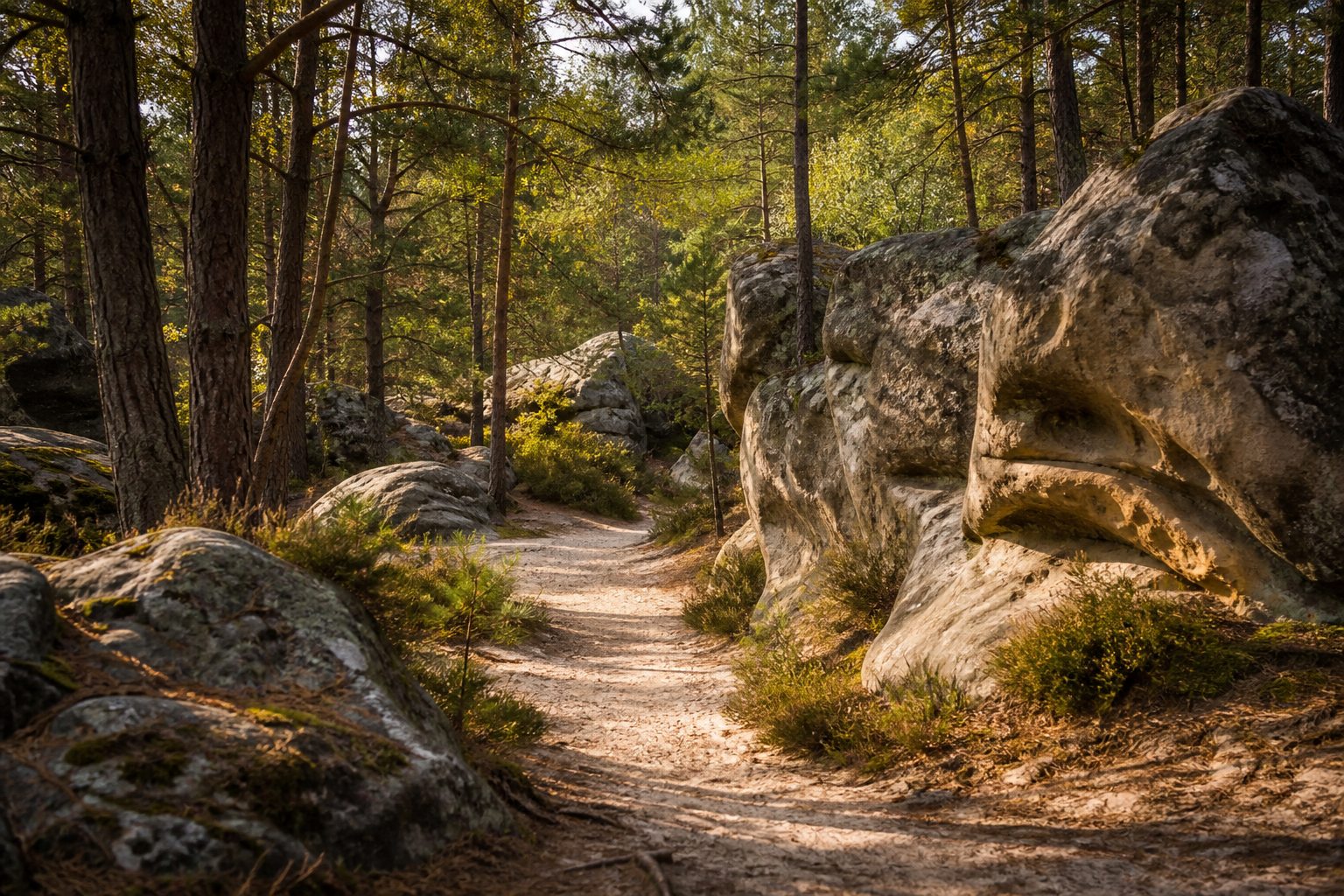 Randonnée dans la forêt de Fontainebleau